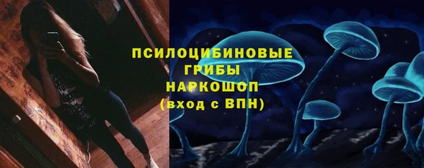 тгк Заводоуковск