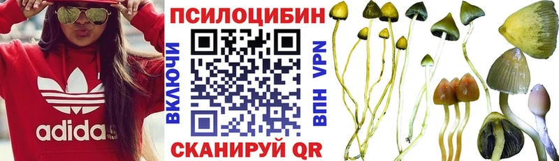 Купить закладки  Новомичуринск  Галлюциногенные грибы Psilocybine cubensis 