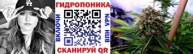 Купить  Новомичуринск  Бошки марихуана White Widow 